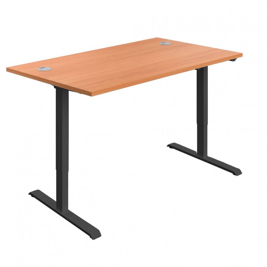 Olton Single Motor Sit Stand Desk 